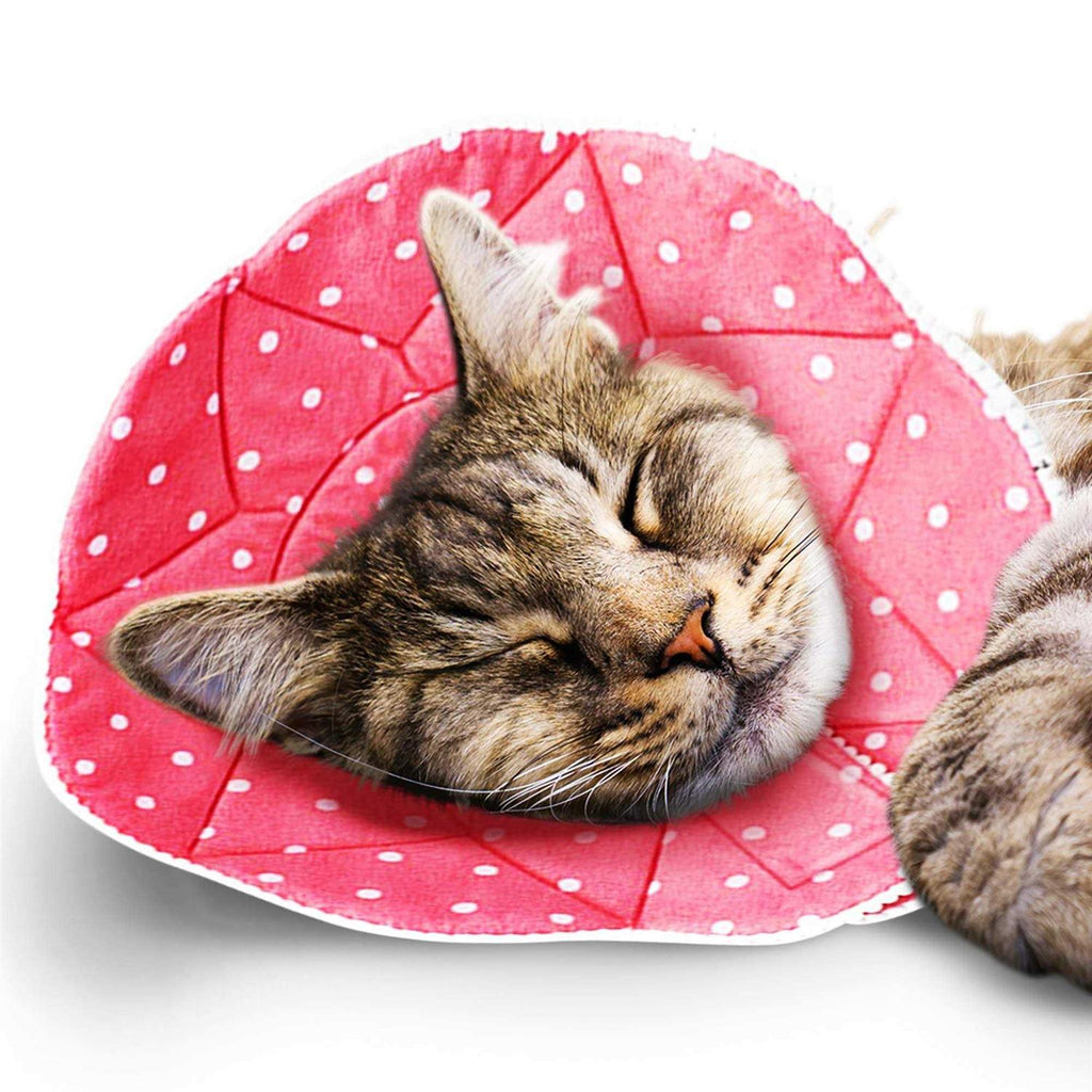 Soft e Collar for Small Dogs & Cats L485