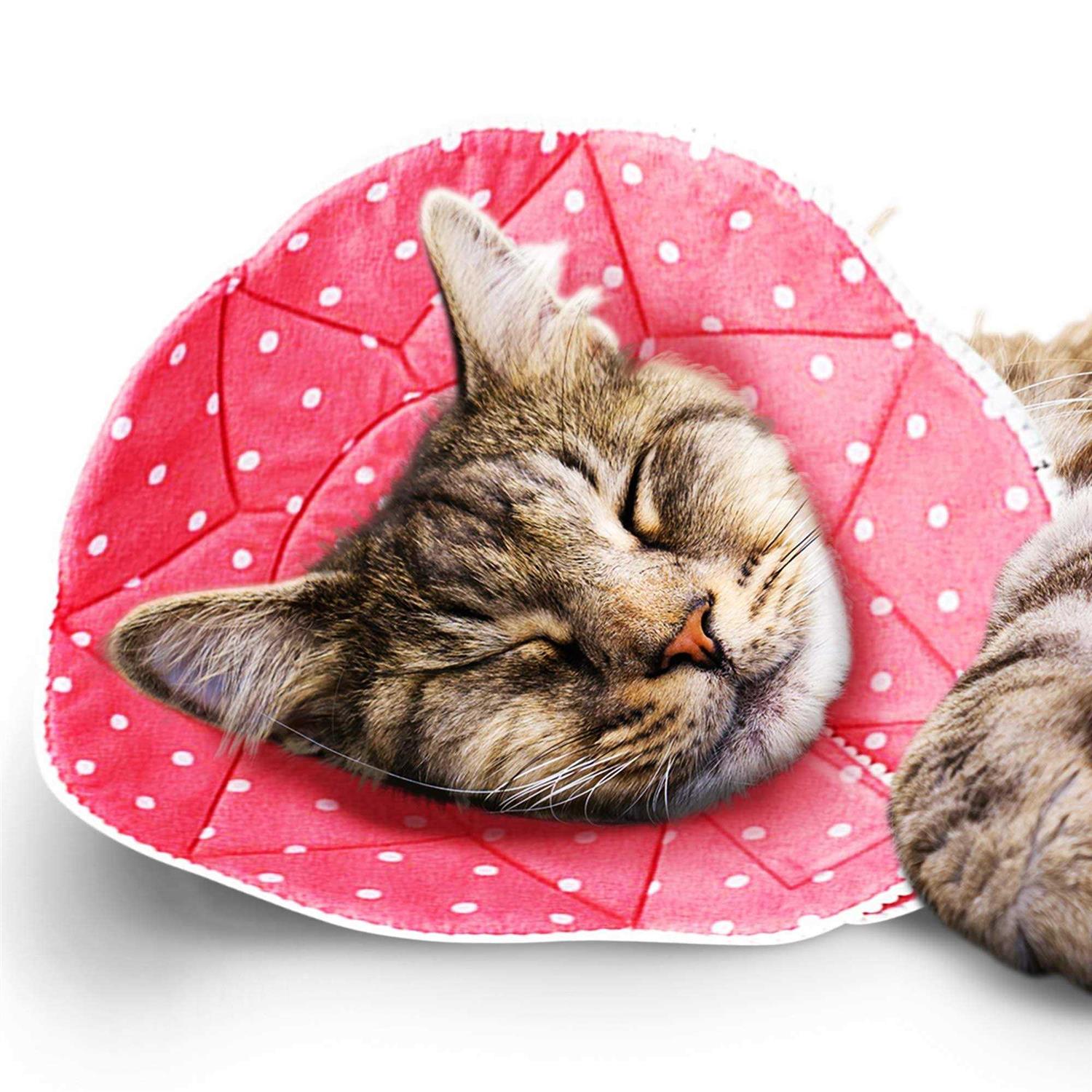 Soft e Collar for Small Dogs & Cats L485