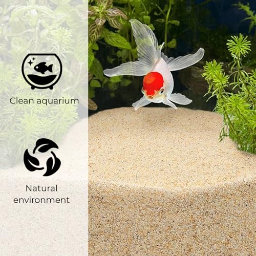 Coarse Silica Sand - 10LB - Horticultural Sand V941