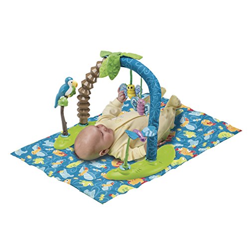 Bouncing Activity Saucer Y846293