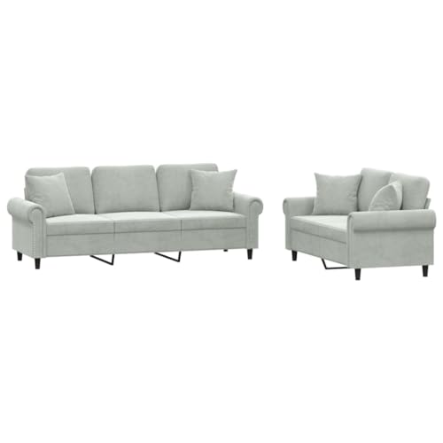 Light Gray Velvet 2 Piece Sofa Set Z375801