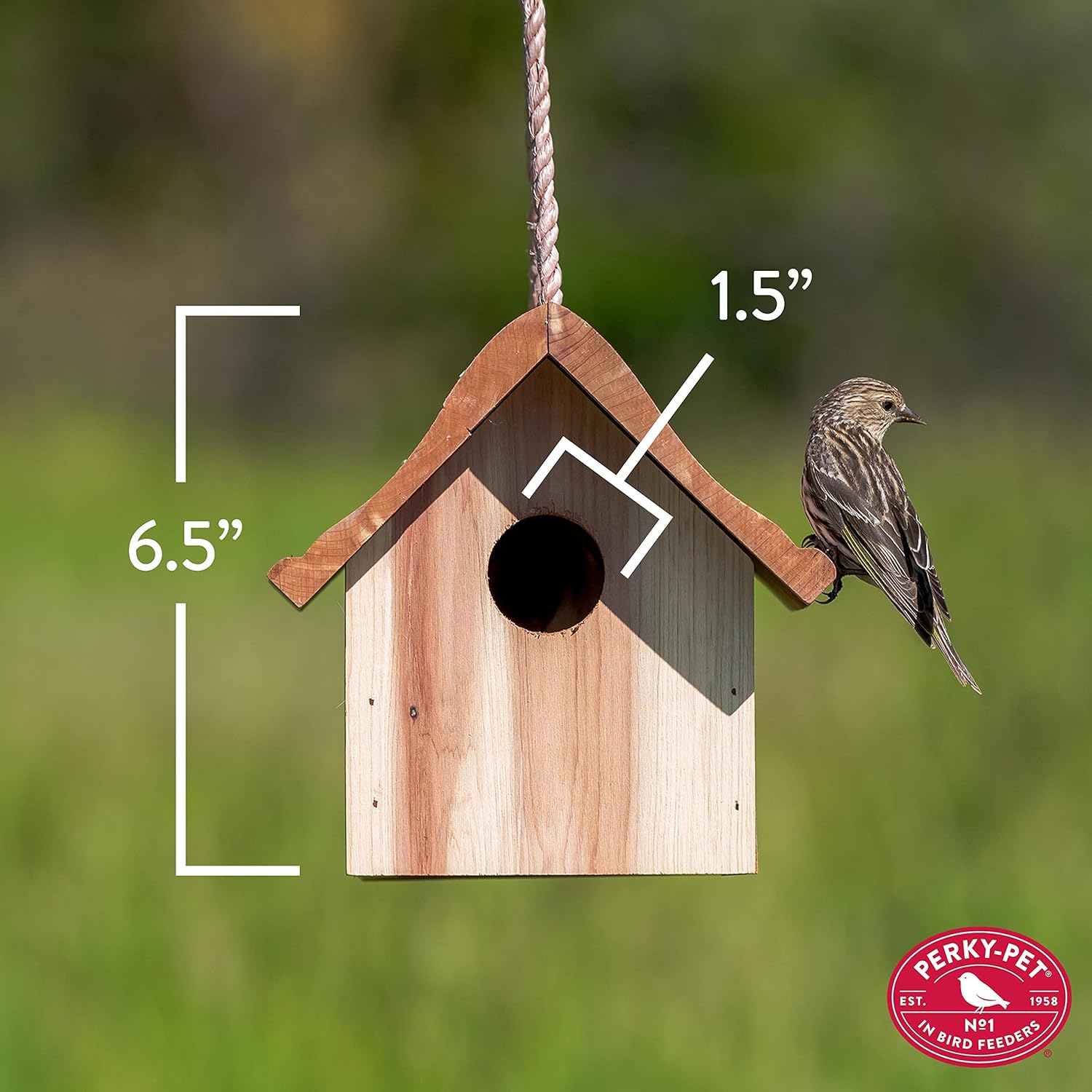 Birdhouse J899924