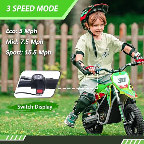 Blue 36V Electric Dirt Bike with 14'' Off-Road Knobby Tires H140418