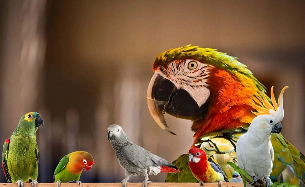 Hearty Veggies Parrot Food Natural Grains F6165