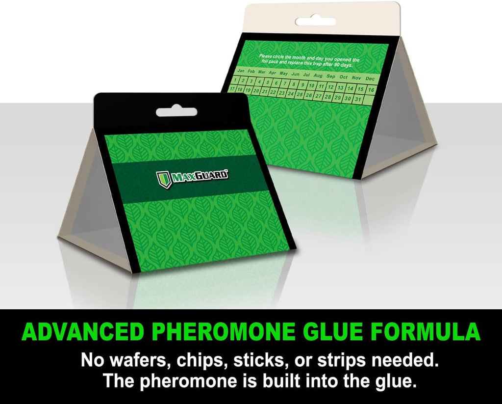 24 Pack Non-Toxic Sticky Glue Trap C15899
