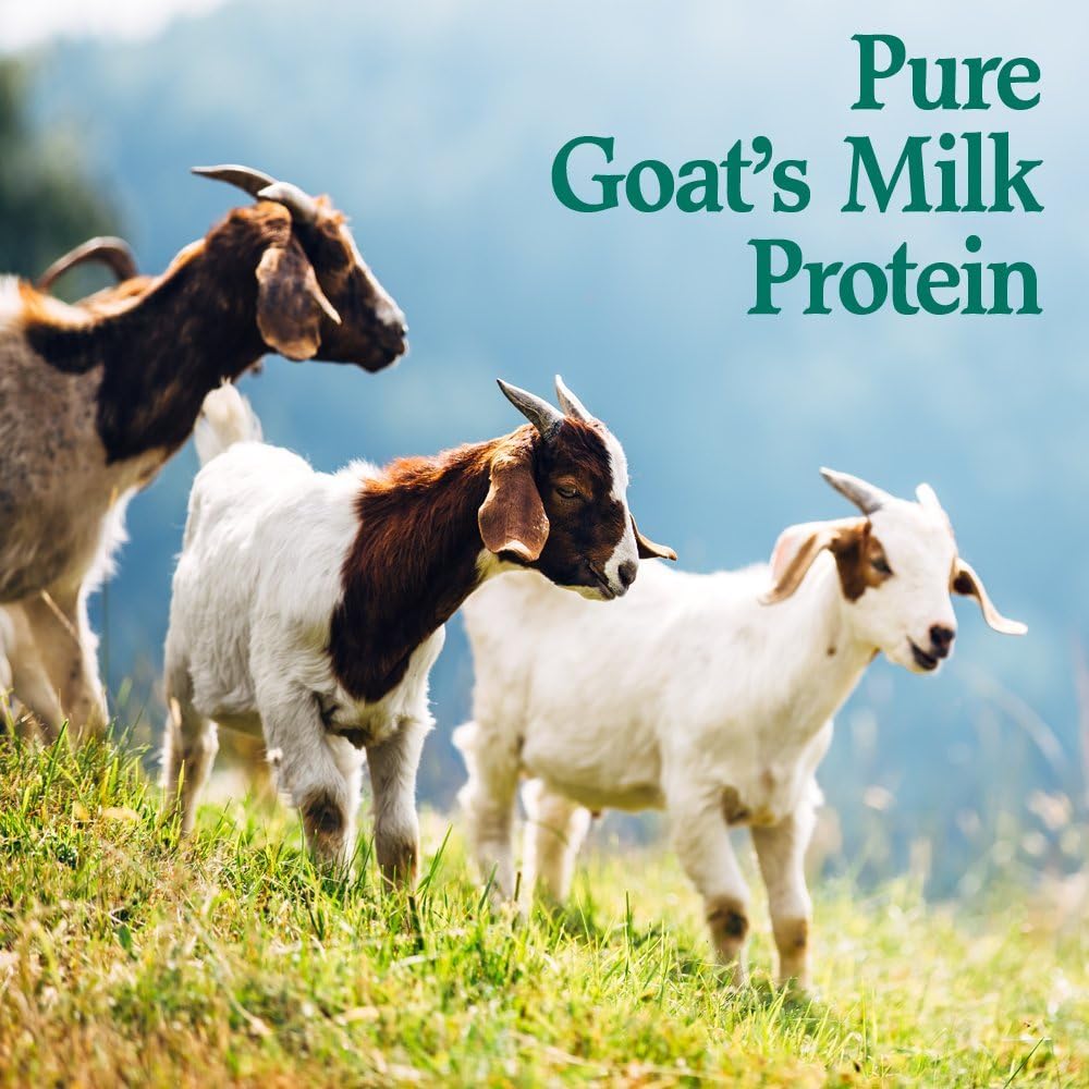Goat Protein Powder, 22 Servings, 15.5 Ounce Pack of 2 Y517487
