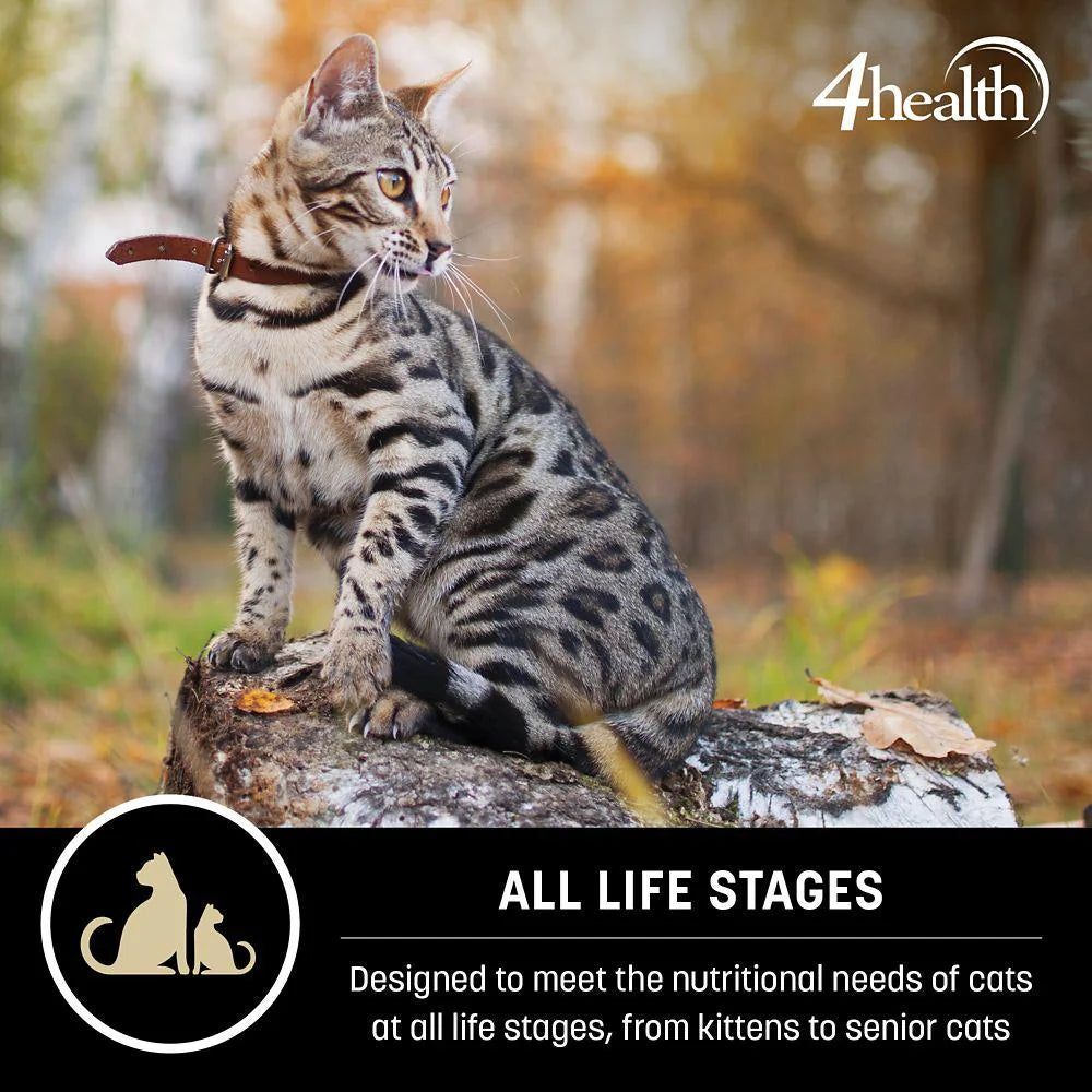 Grain-Free Turkey and Lentils Formula Dry Cat Food Q17061