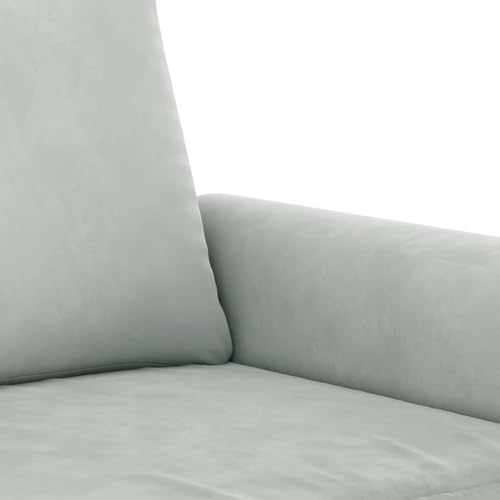 Light Gray Velvet 2 Piece Sofa Set Z375801