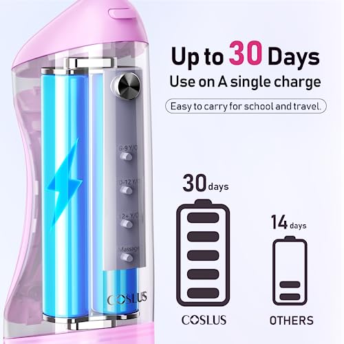 Portable Water Dental Flosser with 4 Jet Tips O379780
