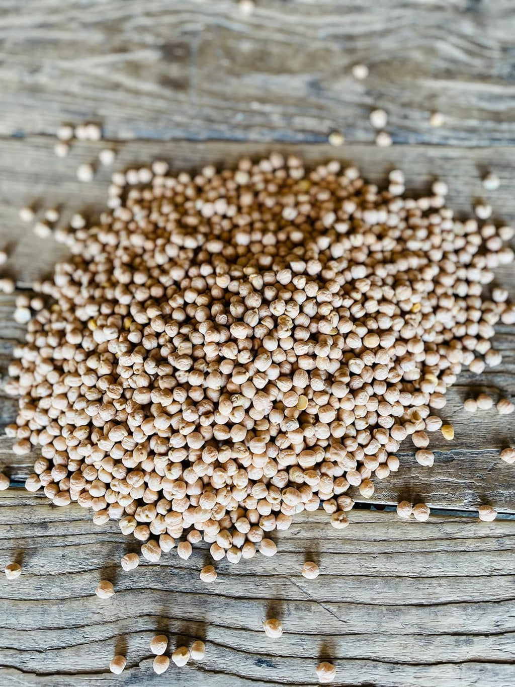 Chickpeas, Garbanzo Beans, Non-GMO, Kosher, 50 lbs B9592