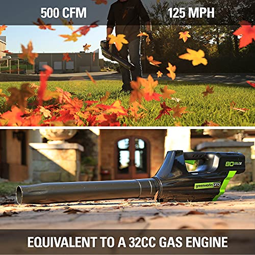 80V Cordless Brushless String Trimmer and Leaf Blower Combo with 2Ah Battery and Charger Z8303
