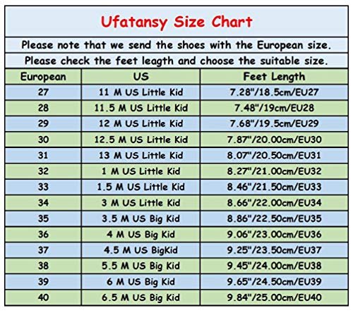 LED Light Up Roller Skate Shoes with Wheels USB Rechargeable Shoes X48126