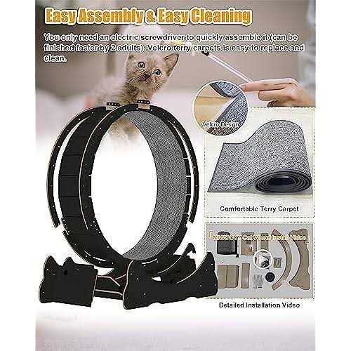 Large 40 inch Solid Wood Cat Exercise Wheel L532018