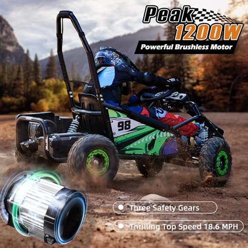 48V 12Ah Battery Electric Go Kart E223