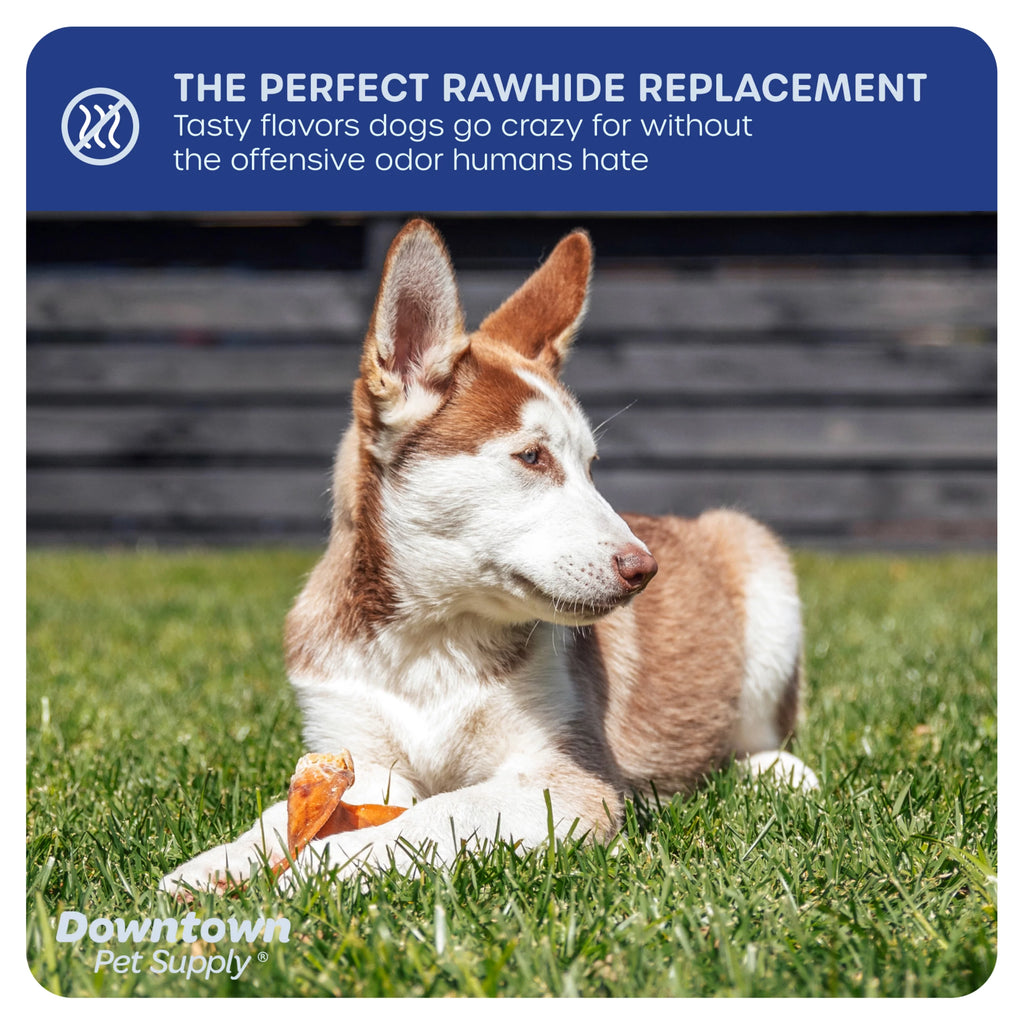 35 Pack Pig Ears Dog Chews Y1362