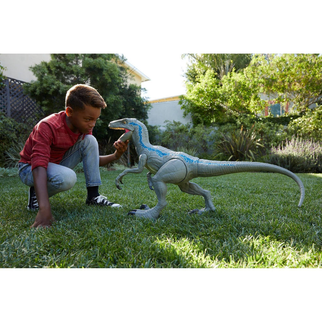 Super Colossal Velociraptor Blue O26179