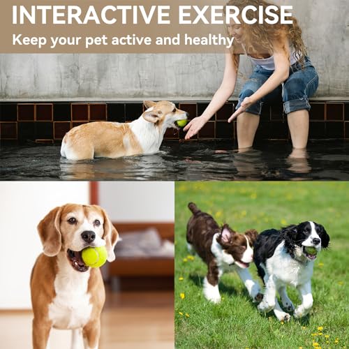 Automatic Dog Ball Thrower Launcher with 12 PCS Tennis Balls, Green K4216