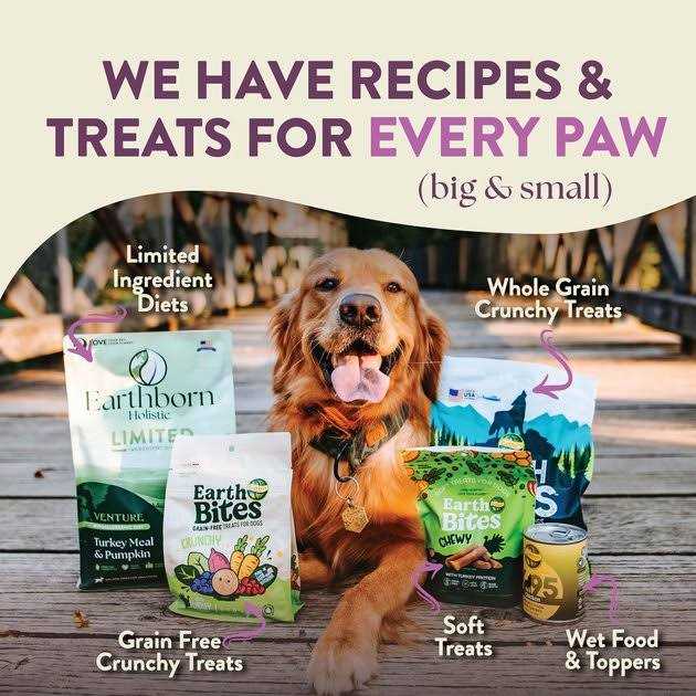 Unrefined Roasted Lamb with Ancient Grains & Superfoods Dry Dog Food U738761