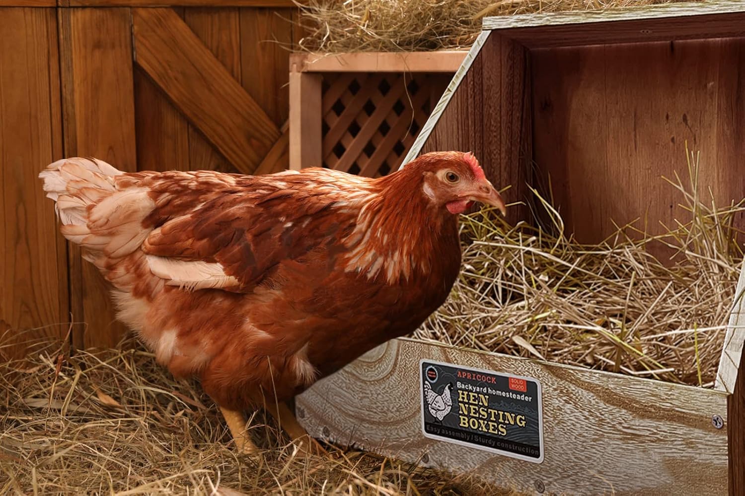 Single Compartment Wood Nesting Box (1 Pack) F10739