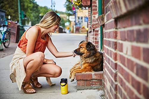 Wide Mouth Stainless Steel Vacuum Insulated Water Bottle A74383