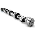 Solid Flat Tappet Camshaft I219