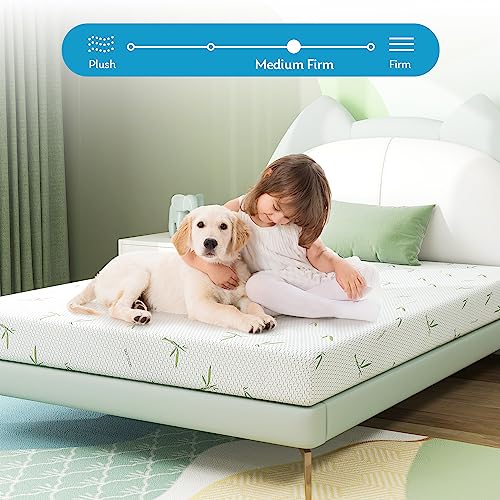 6 inch Medium Firm Full Mattress with Bamboo Cover E365