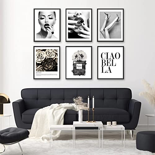 Set of 6 Black and White Unframed Canvas Posters 8x10in H874529