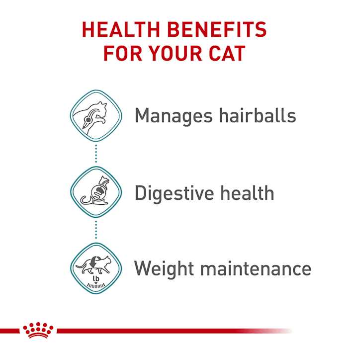 Hairball Care Thin Slices in Gravy Cat Food K181