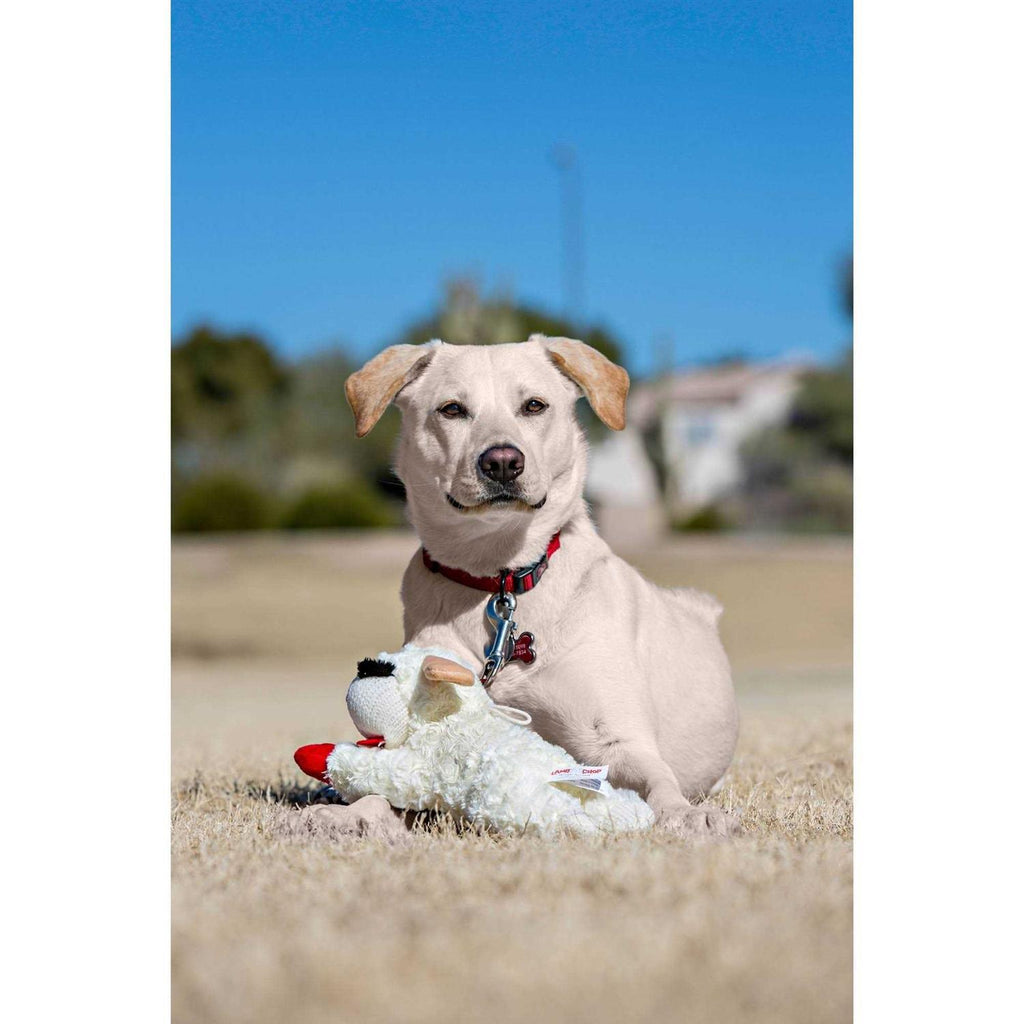 Lamb Chop Dog Toy W437328