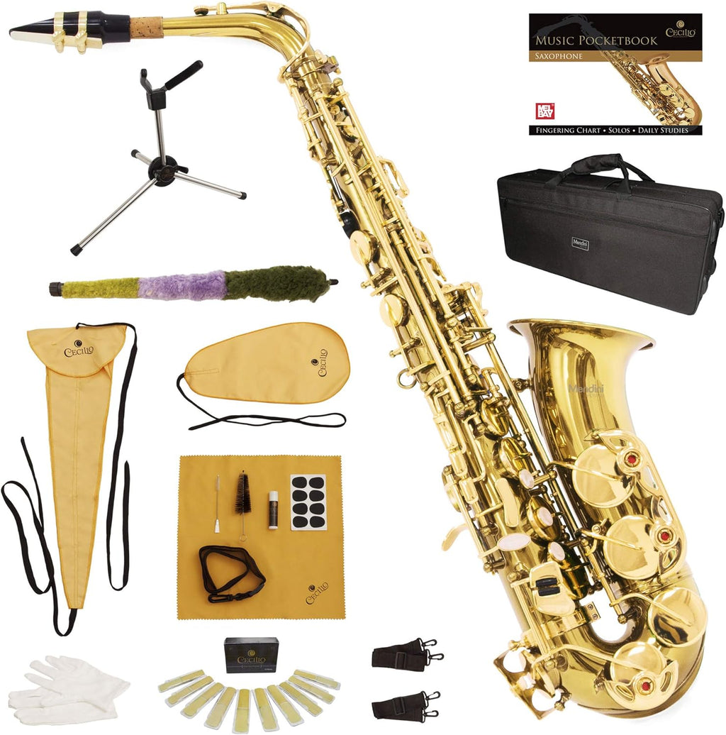 E Flat Alto Saxophone with Case, Mouthpiece, Stand, Reeds, Cloths A8078
