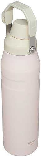 Insulated Stainless Steel Water Bottle 16-50 OZ with Angled Spout Lid K38051