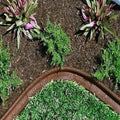 Brown 6pk 4 ft Landscape Edging L803