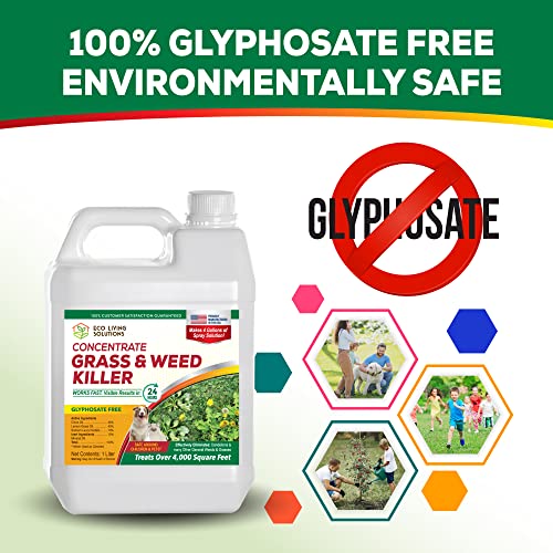 Weed Killer Concentrate H412587