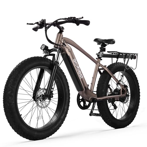 26"*4" Electric Bike with Peak 1400W Motor, 720Wh Removable Battery, 7-Speed Hydraulic Brakes C623