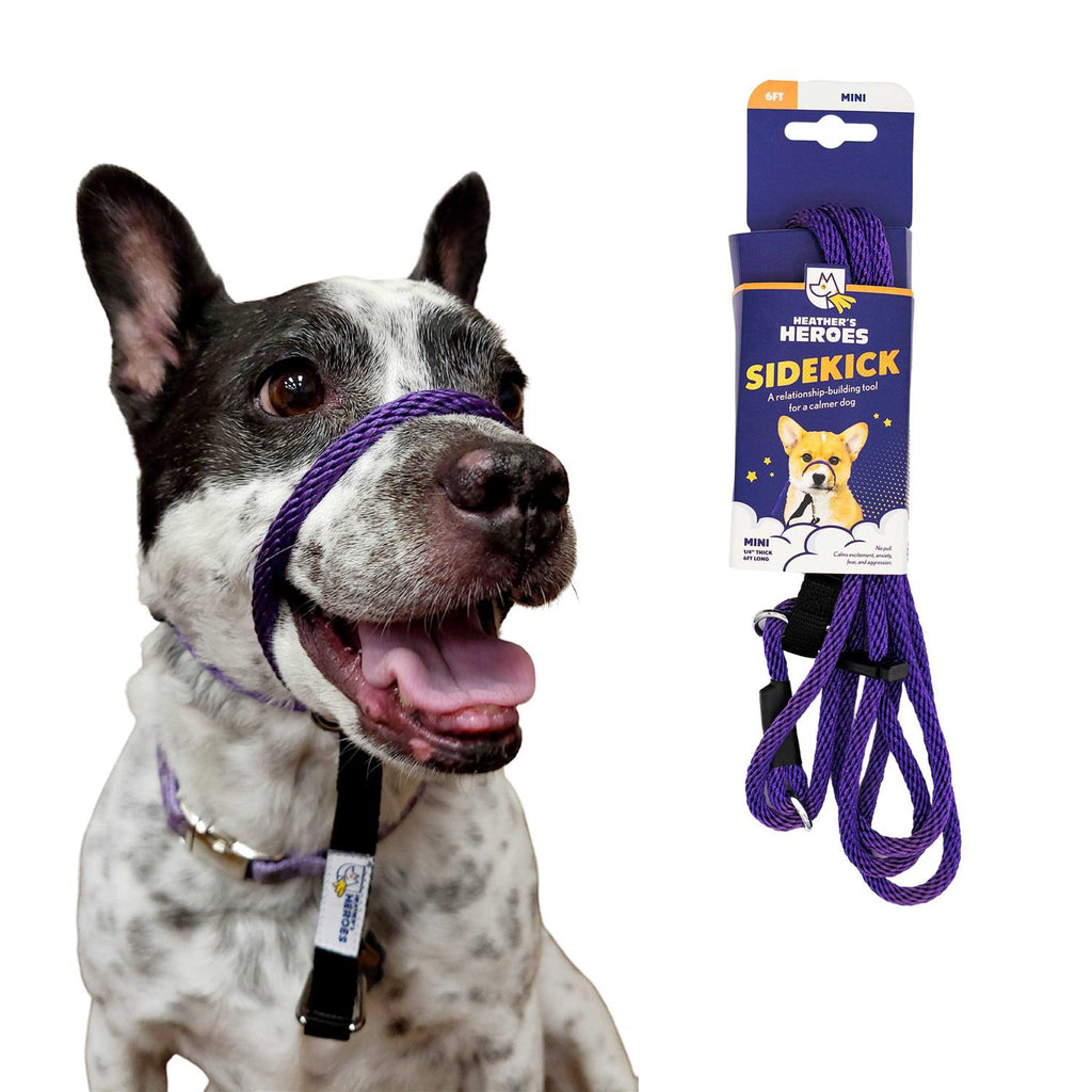 Pet Supplies J966