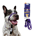 Pet Supplies J966