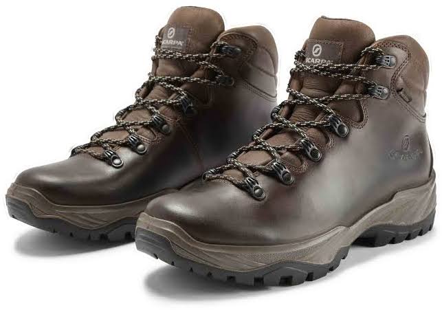 Brown Terra GTX Shoes J624