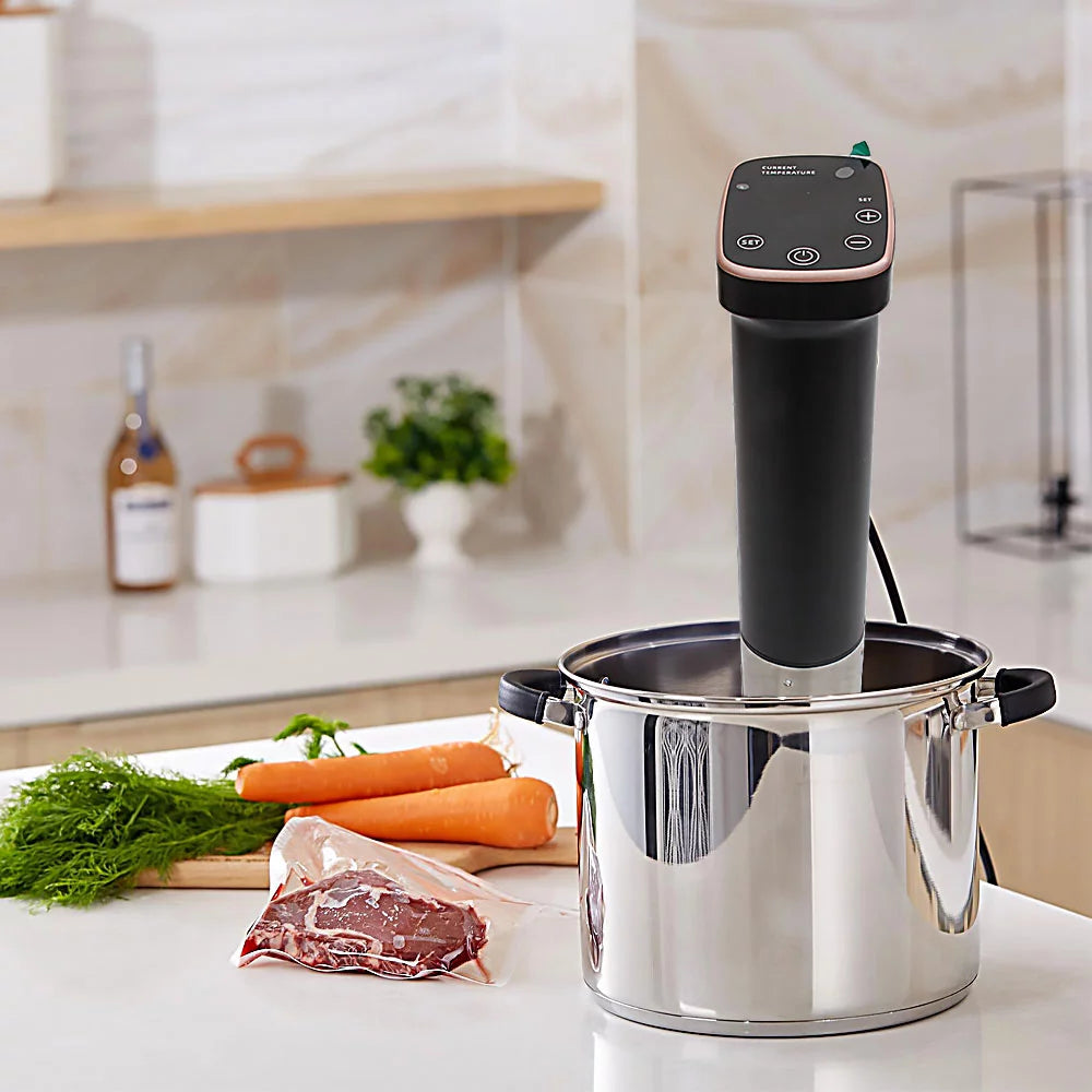 1100 Watts Immersion Circulator Precision Cooker W982
