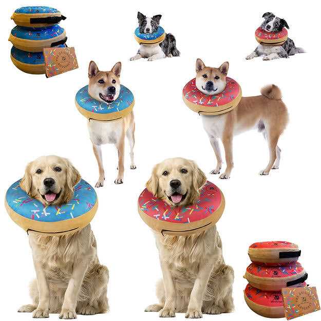 Dog Donut Collar Z425