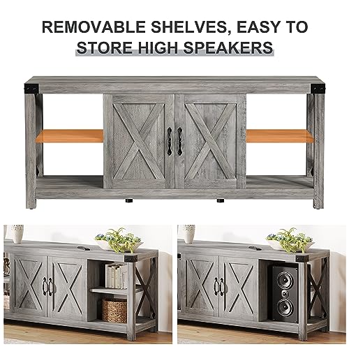 TV Stand with Barn Doors and Storage Cabinet U30859