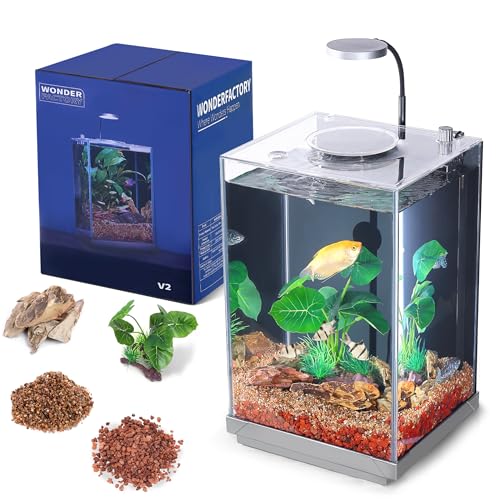 1.5 Gallon Float Glass Fish Tank Starter Kit B441579