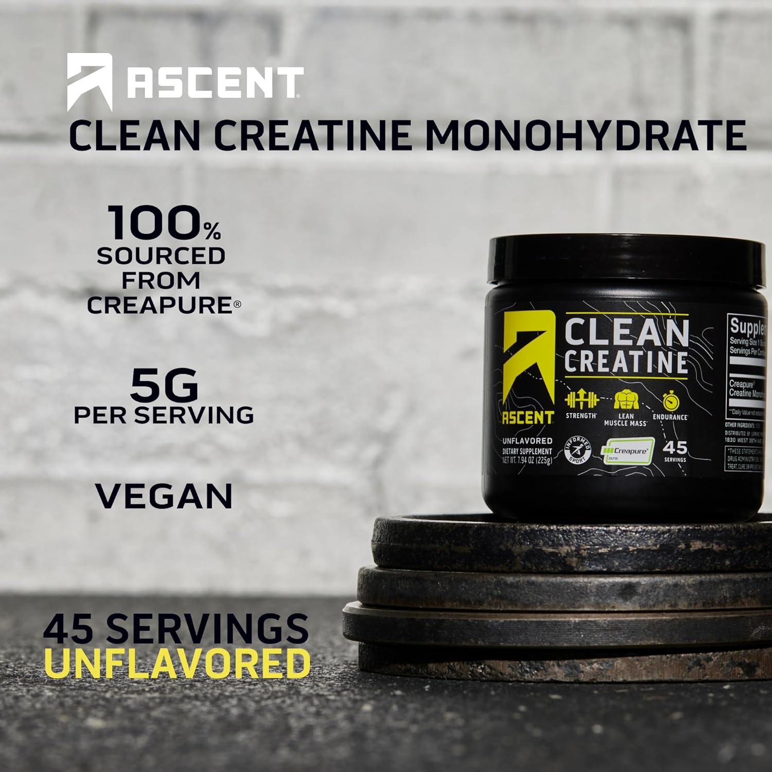 100% Whey Protein Powder, Chocolate Peanut Butter 4 lb & Creatine Monohydrate Powder, Unflavored 45 Servings I343352