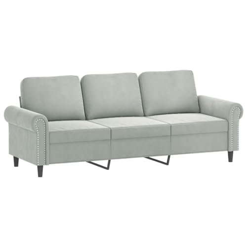 Light Gray Velvet 2 Piece Sofa Set Z375801