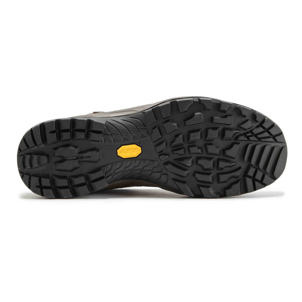Brown Terra GTX Shoes J624