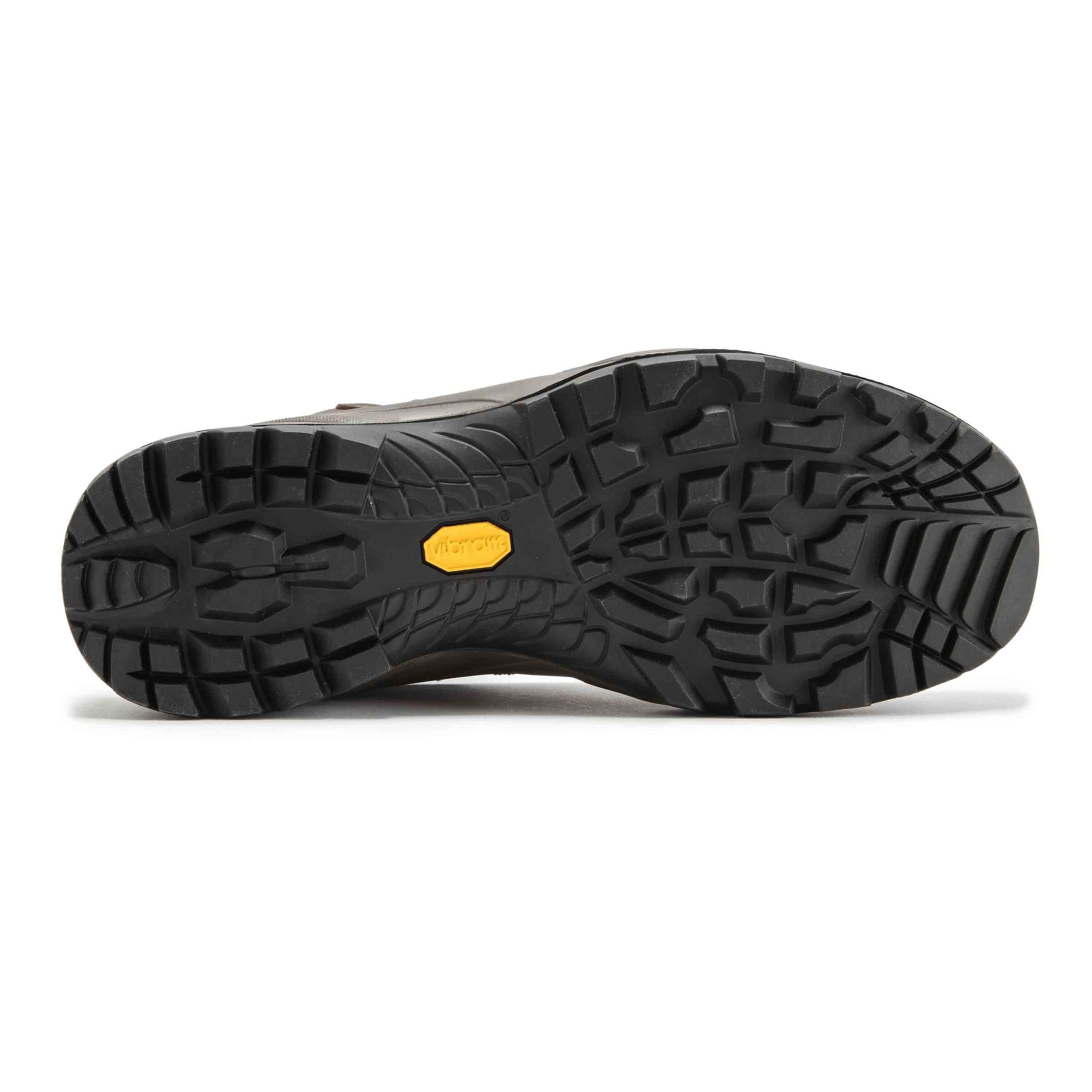 Brown Terra GTX Shoes J624