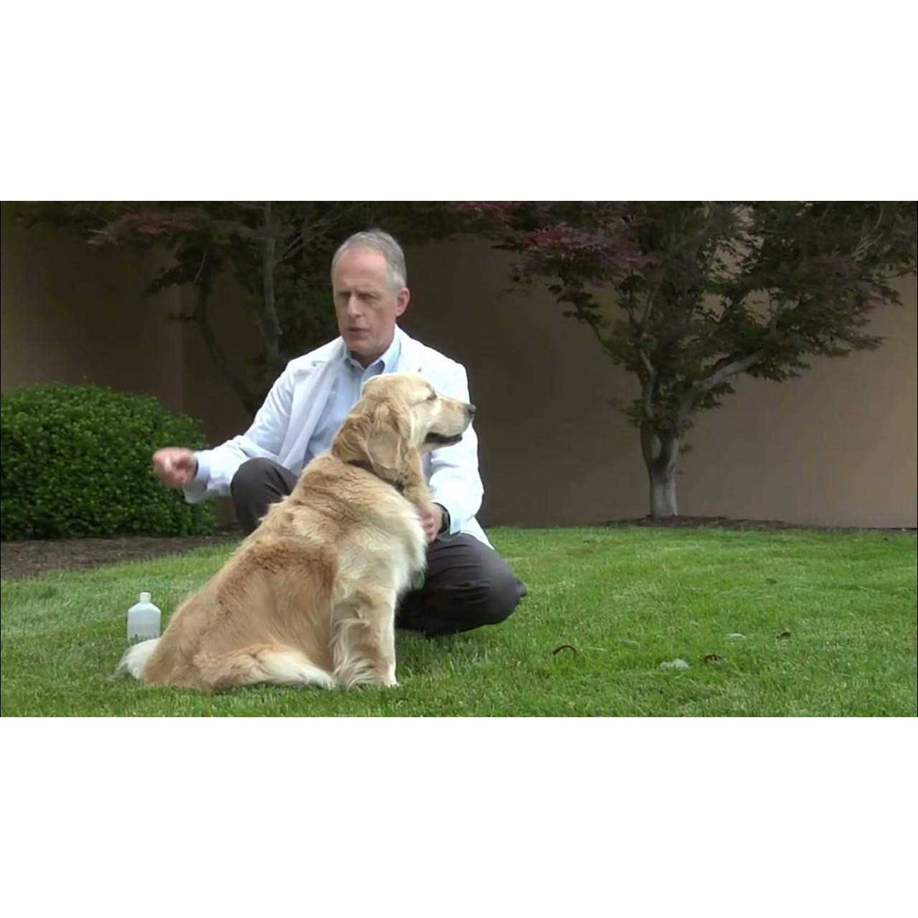 Canine Spectra 9 Dog Vaccine M18975