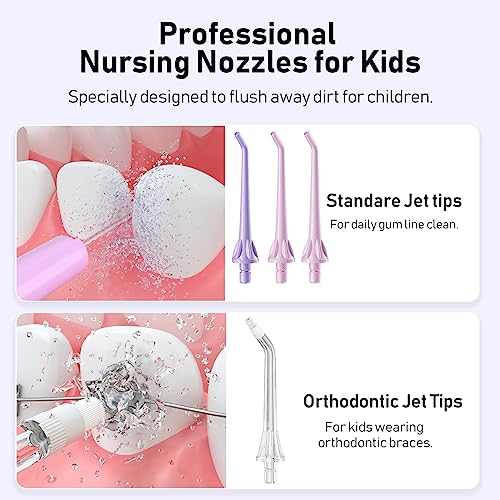 Portable Water Dental Flosser with 4 Jet Tips O379780