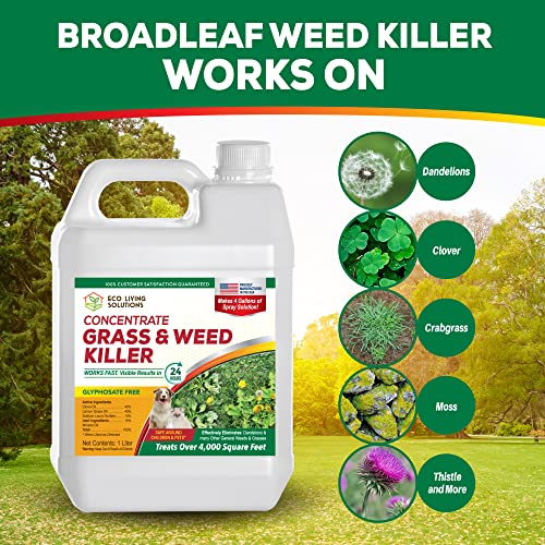 Weed Killer Concentrate H412587