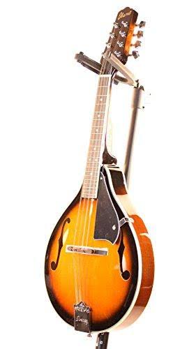 Vintage Sunburst A-Style Mandolin C554365