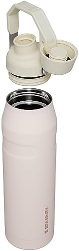 Insulated Stainless Steel Water Bottle 16-50 OZ with Angled Spout Lid K38051